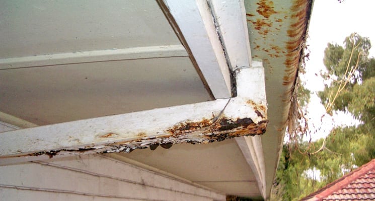 Rust spots and holes in old gutters needing replacement in Katy, TX